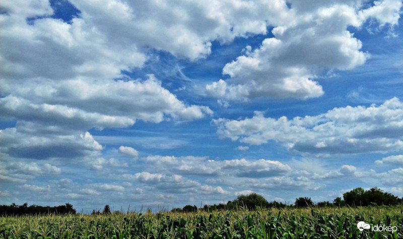 Kukoricás és egy mozgalmas égkép :)