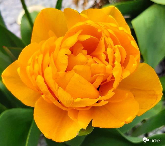 Na meg egy különleges... :)