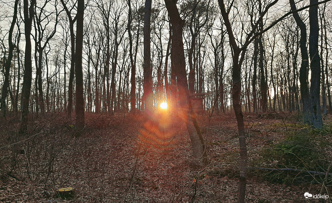 Egy februári naplemente erdős környezetben :)