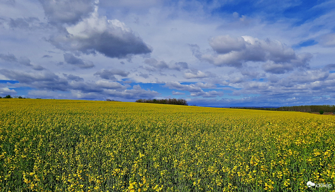 Tengernyi repcemező 2. :)