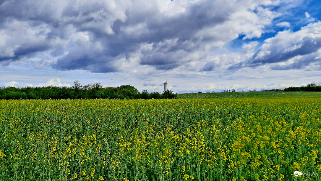 Tengernyi repcemező 5. :)