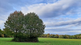 Őszülés elején ismét "kettecskén" a Fáber-réten :)