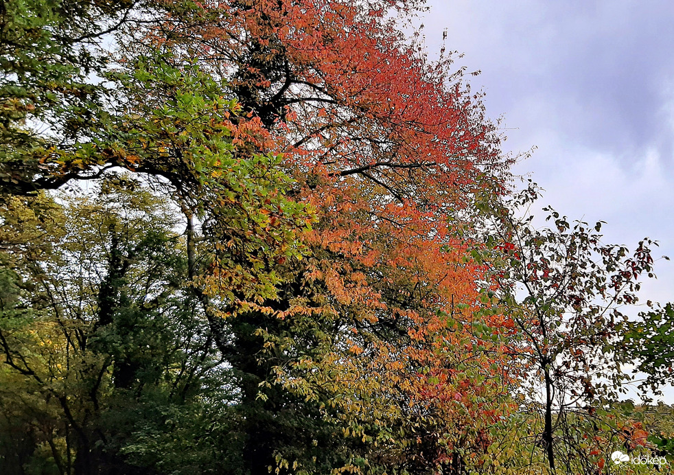 Beindult a színesedés 2. :)