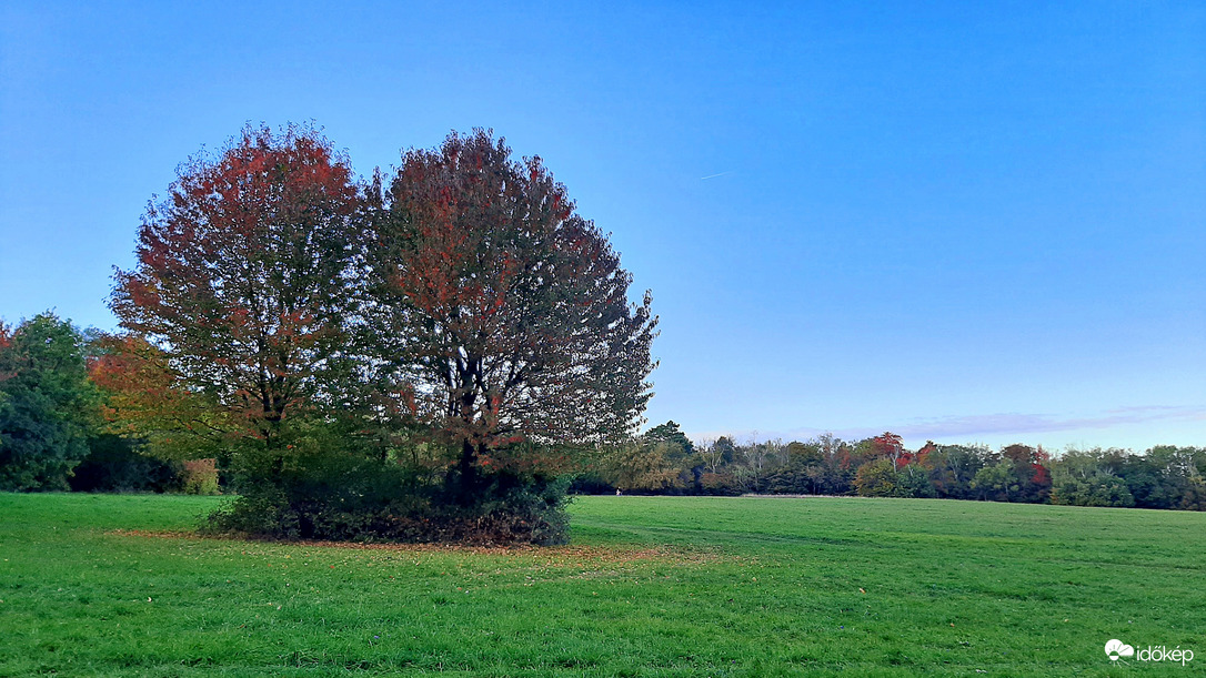 Őszülőfélben "kettecskén" a kék ég alatt a Fáber-réten :)