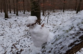 Meglepetés hóemberke kidőlt fatörzsön :)