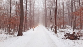 Kis lámpások vezetnek a ködös "végtelenbe"... :)