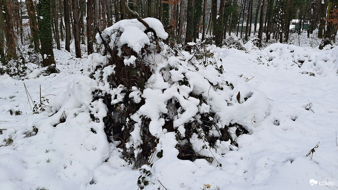 Közel 30 cm hó a Soproni Parkerdőben 2. :)