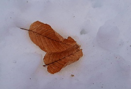 "Kettecskén" a "hópaplanon" :)