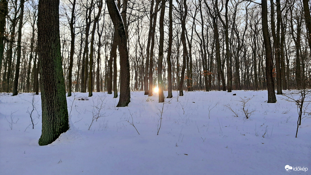 Egy tél végi naplemente a Soproni Parkerdőben :)