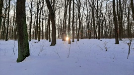 Egy tél végi naplemente a Soproni Parkerdőben :)