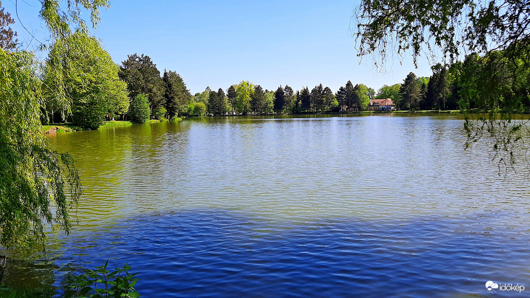 Természet