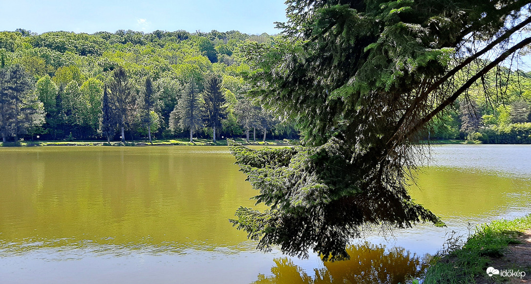 Természet