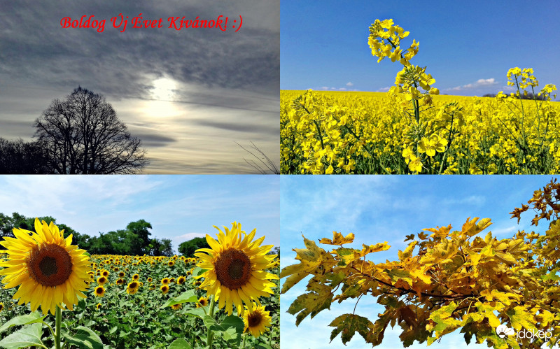 Nagyon Boldog Új Esztendőt Kívánok minden kedves Észlelőtársamnak és az Időkép Csapatának! :)