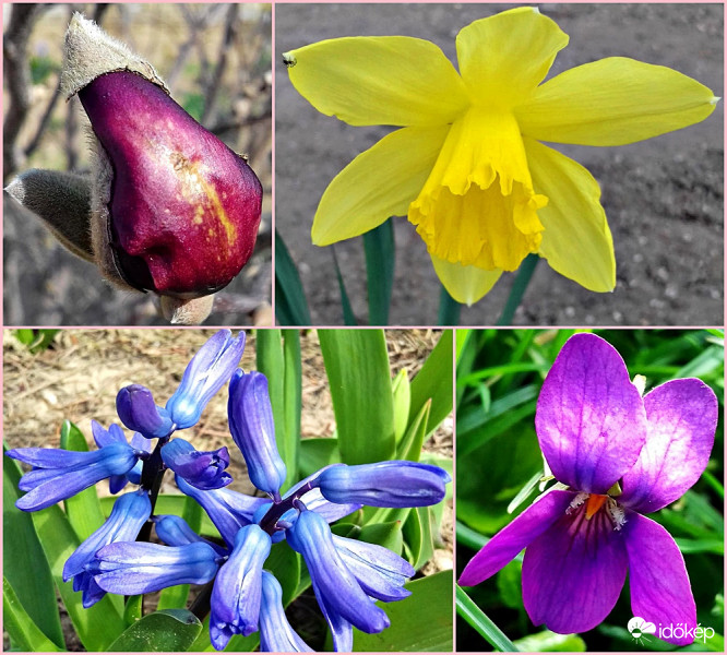 Szépségek a télies fordulat előtt 1. :)