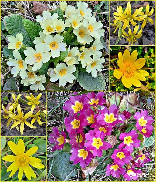 Egy csokor március végi szépség :)