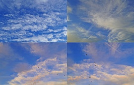 Tegnap délutáni égképek madarakkal "fűszerezve" :)