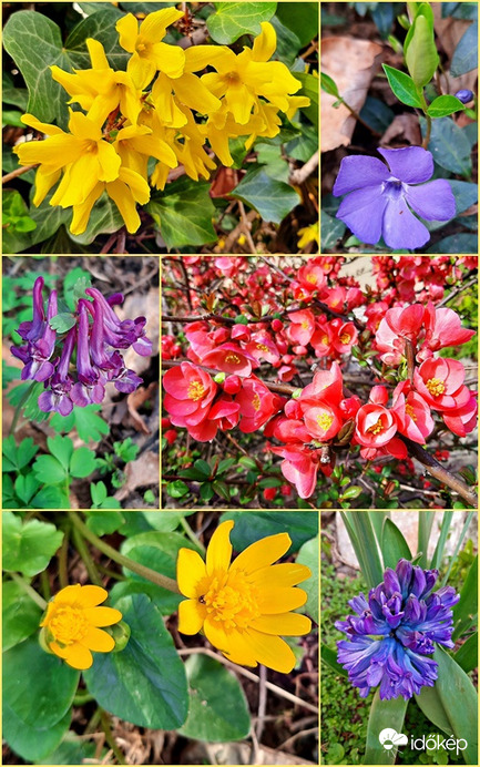 Kora tavaszi színkavalkád :)