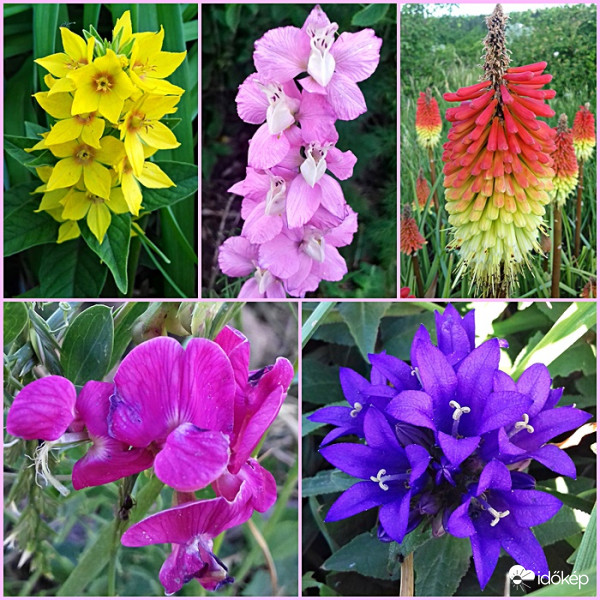 Összefoglaló egy kertek alatti sétáról :)