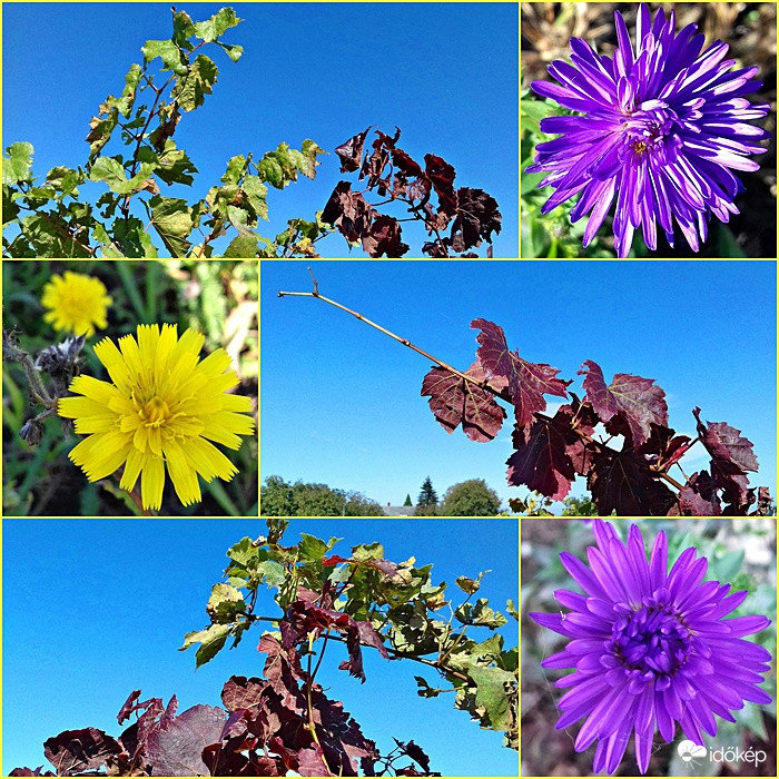 Falusi életképek, amikor még sütött a nap... :)