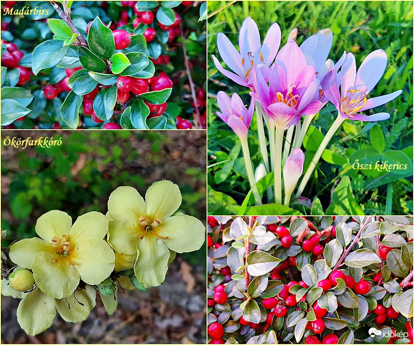 Egy kis színorgia még szeptemberből... :)