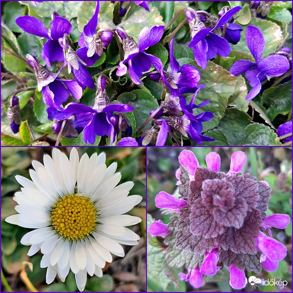 Végre éledezik a természet... :)