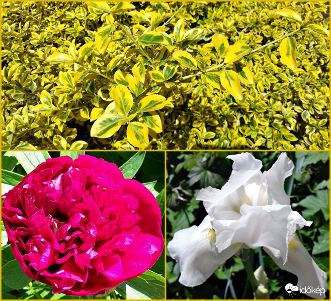 Egyveleg egy sétából :)