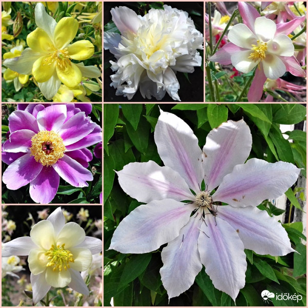 Egy csokor a nagymamám kertjéből :)