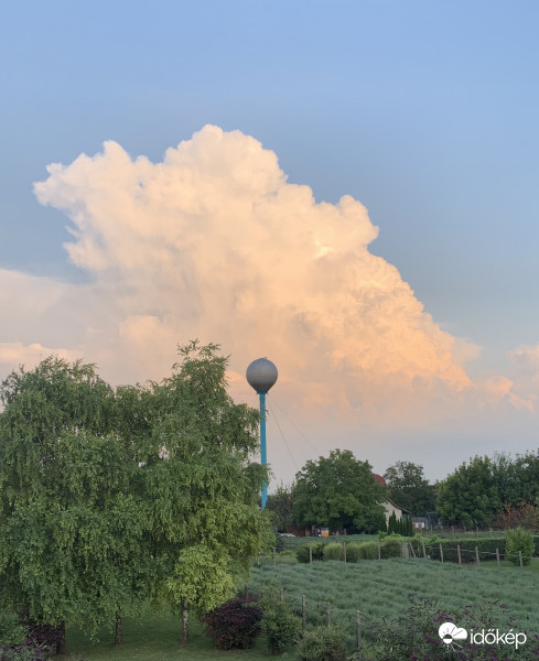 Észlelési fényképek