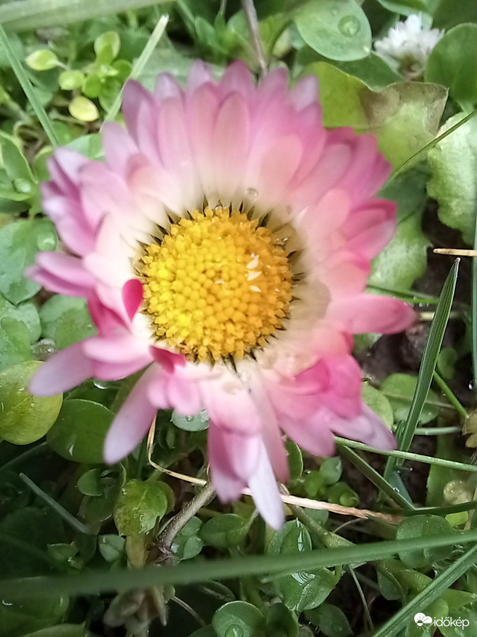 Reggel még havazott 