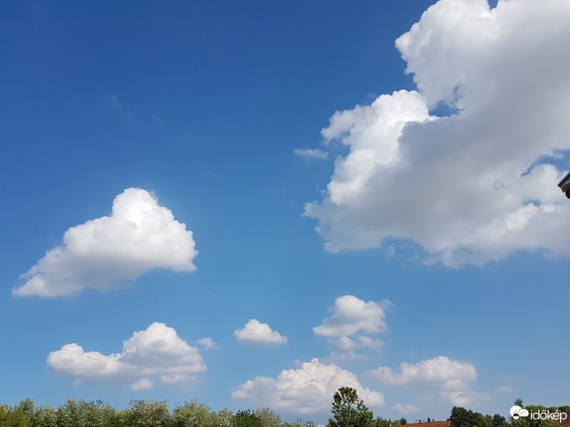 Észlelési fényképek