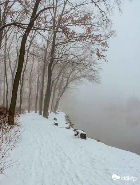 Ködben úszó reggel 