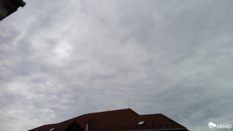 Észlelési fényképek