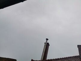 Hódmezővásárhely