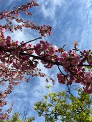 Budapest XI.ker - Albertfalva