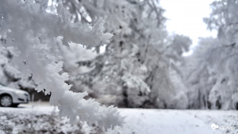 Zúzmara a Kőszegi hegységben 2016.12.22.