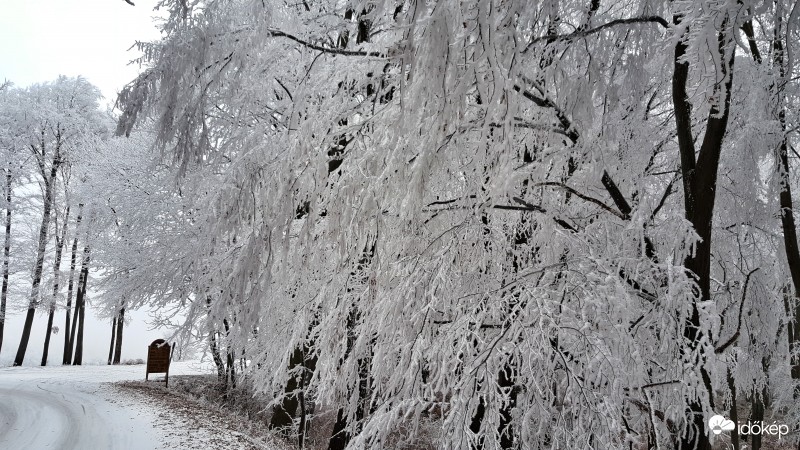 Zúzmara a Kőszegi hegységben 2016.12.22