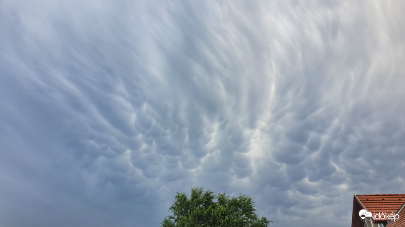 Kőszeg 2019.06.01.