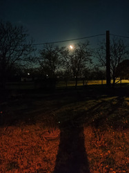 Telihold 2025.nov.5.