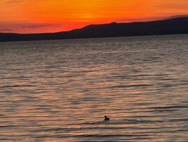 Balatonföldvár