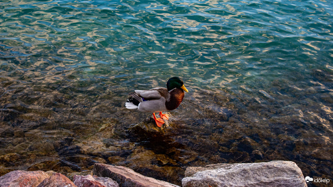 “Még hideg a víz”