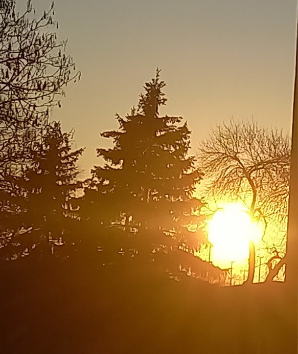 Tiszaújváros