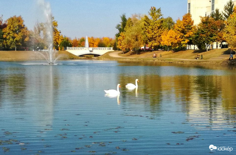 Tiszaújváros Dísztó