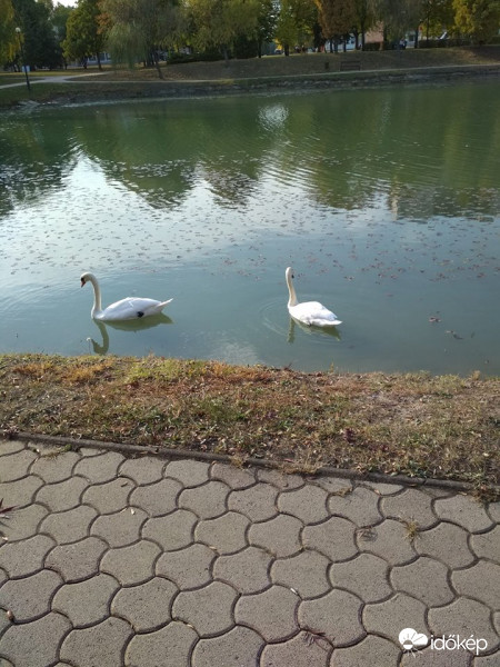 Tiszaújváros Disztó