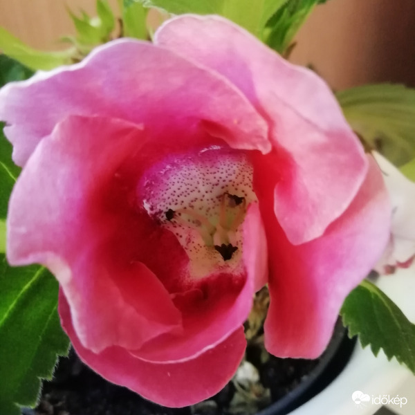 Szomorú vagyok, mert nem süt a nap!