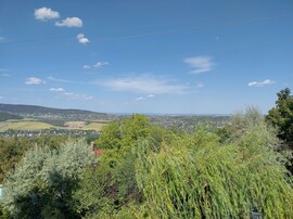 Buda