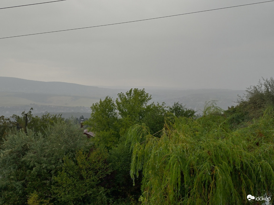 Buda