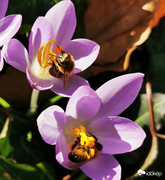 Tavaszi munkakezdés 