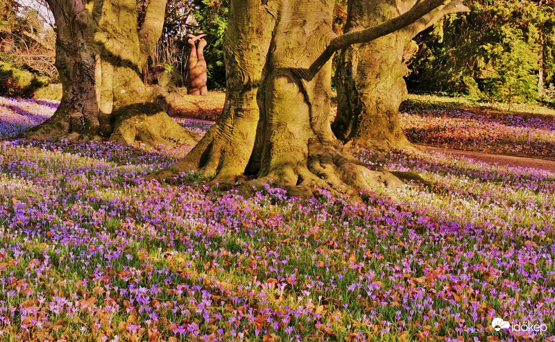 Óriások szőnyegen.