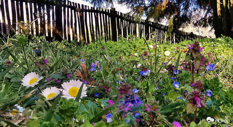 Hol volt hol nem volt.