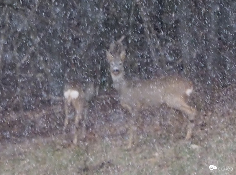 Mai hóesésben 02.28.
